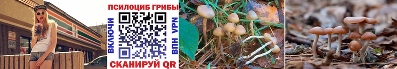 где найти наркотики Пролетарск Галлюциногенные грибы GOLDEN TEACHER